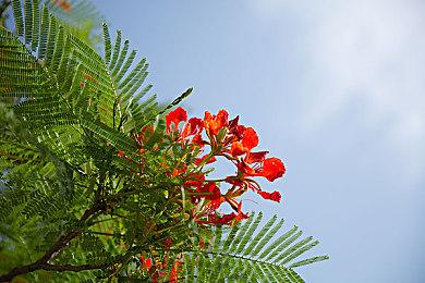 EA称没有《模拟人生5》开发计划 将继续扩展4代